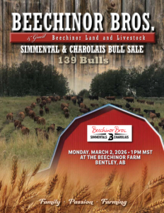 Beechinor Bros-1 copy