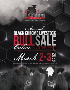 BlackChrome-2026-WEB-1 copy