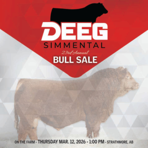 DEEG_BullSale_2026WEB-1 copy