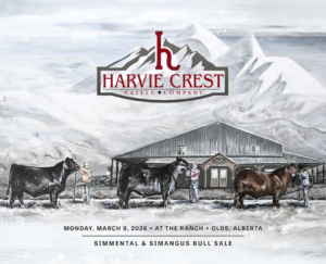 HarvieCrest_BullSale_2026_WEB-1 copy